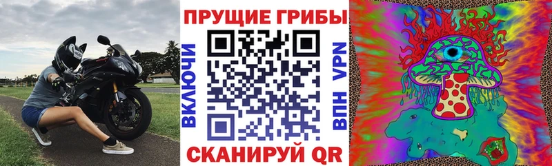 Псилоцибиновые грибы прущие грибы  Ленинск 